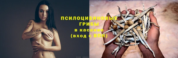круглые Заводоуковск