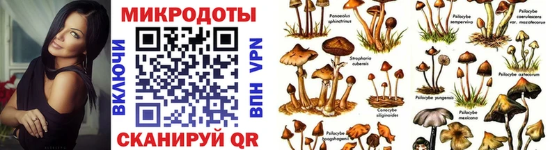 Псилоцибиновые грибы мухоморы  Купить закладки  Верхняя Салда 