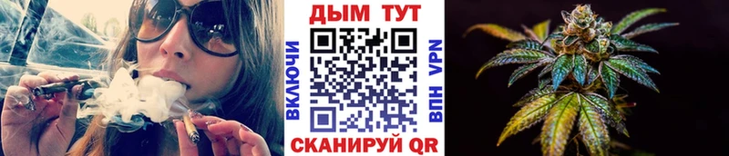 Купить  Верхняя Салда  МАРИХУАНА семена 